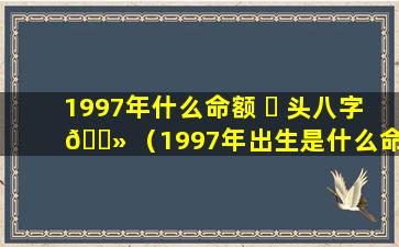 1997年什么命额 ☘ 头八字 🌻 （1997年出生是什么命格）